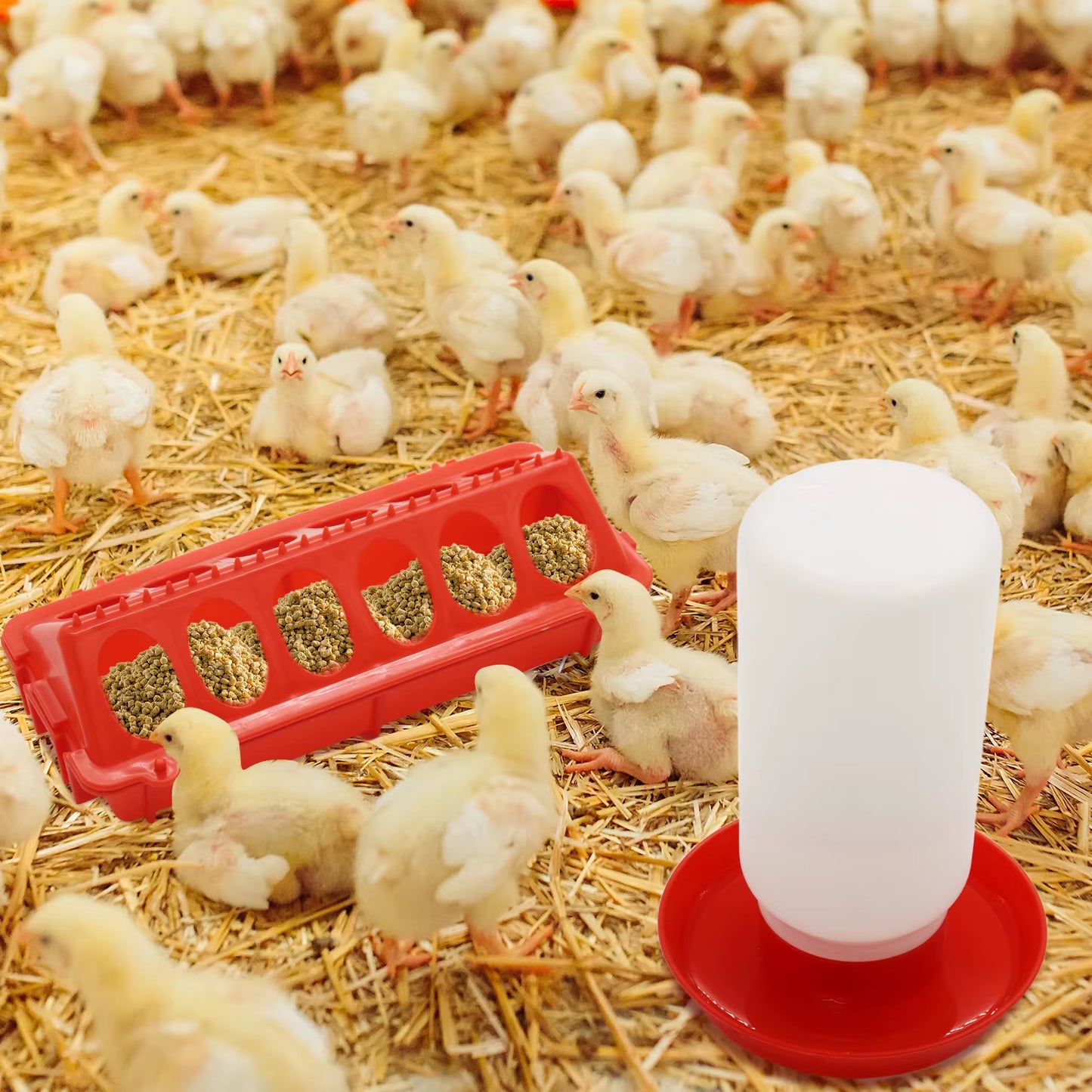 Elongated Baby Chick Feeder & Waterer Combo β Multi-Animal Poultry Starter Flock Brooder Pen Combo