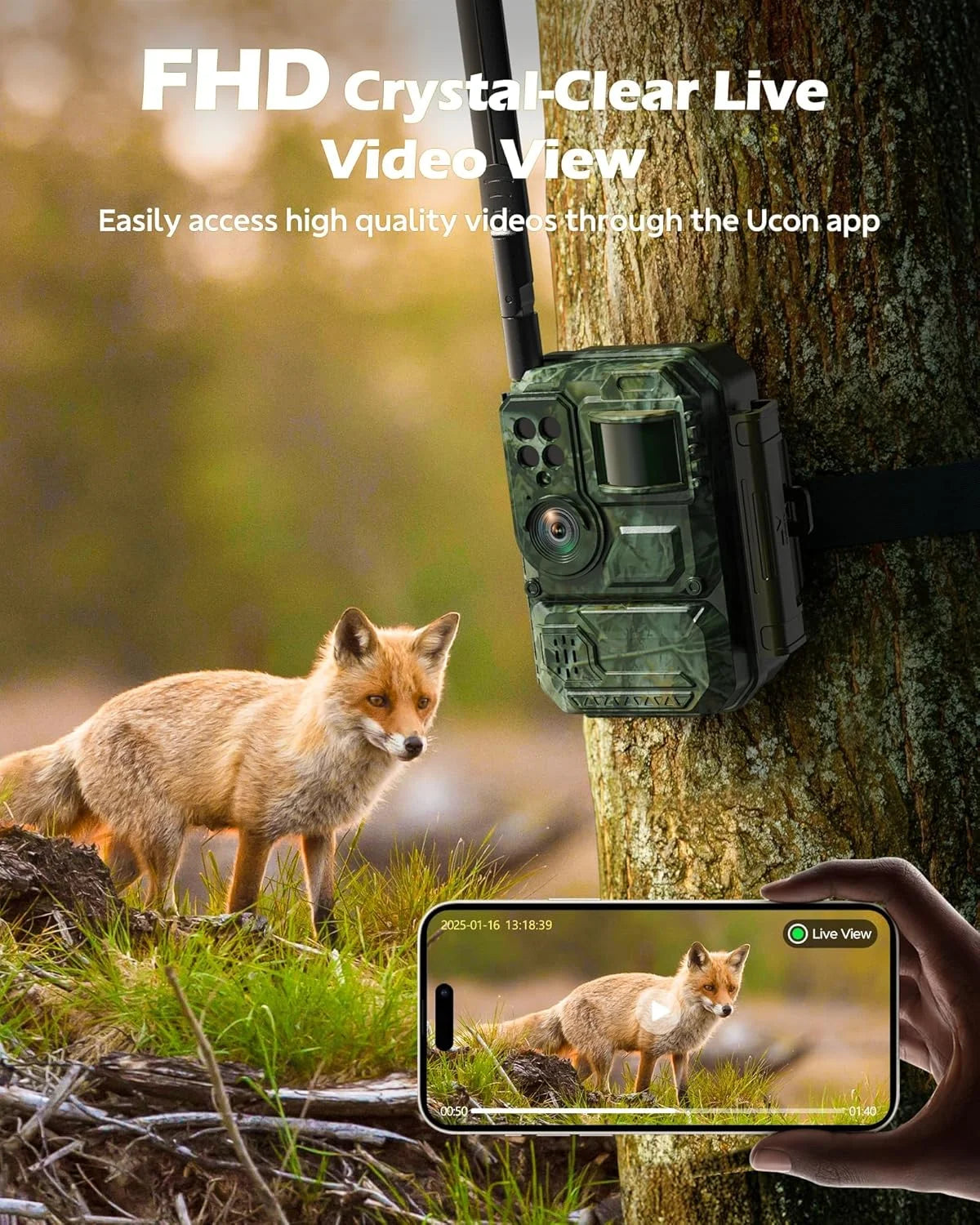 CAMPARK 4G LTE Cellular Solar Trail Camera – 48MP 4K Hunting Camera with Night Vision, 0.1s Trigger, Motion Detection & Real-Time Alerts (2-Pack)
