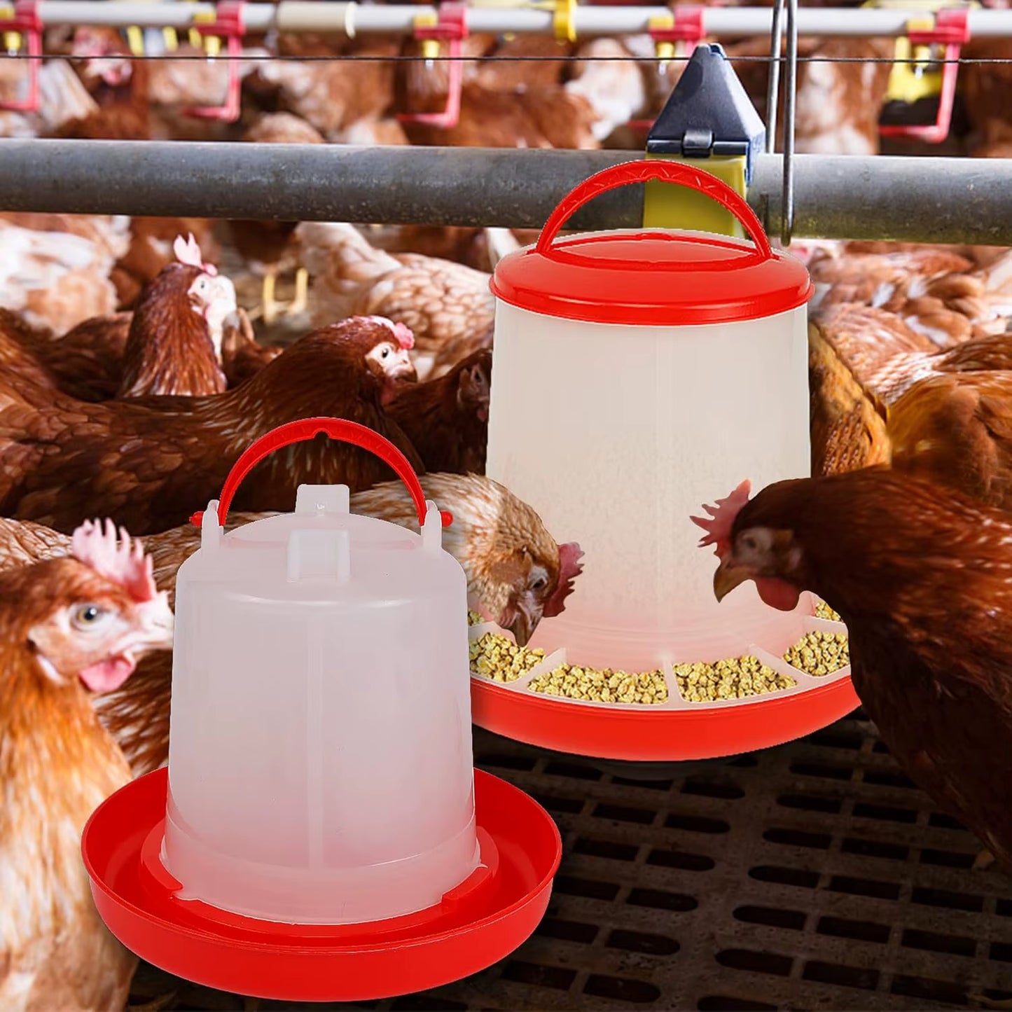 Basic Baby Chick Feeder & Waterer Combo – 1KG Feed + 1L Waterer for Starter Flocks & Brooder Pens