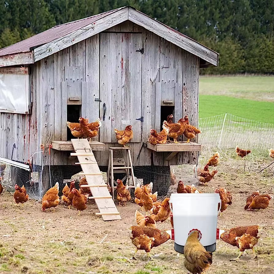 DIY No-Waste Chicken Feeder Port Kit – Gravity Bucket & Barrel Poultry Feeder Inserts – Weather & Rodent Resistant Feeding System
