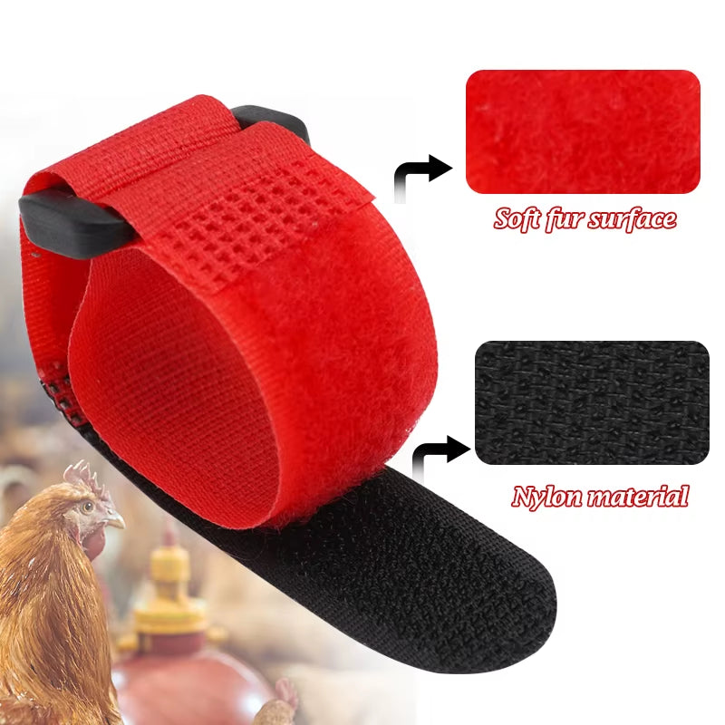 2Pcs anti Crowing Chicken Collar Lightweight Chicken Neckband Adjustable Rooster Chicken Poultry Neck Collar Belt Eco-Friendly