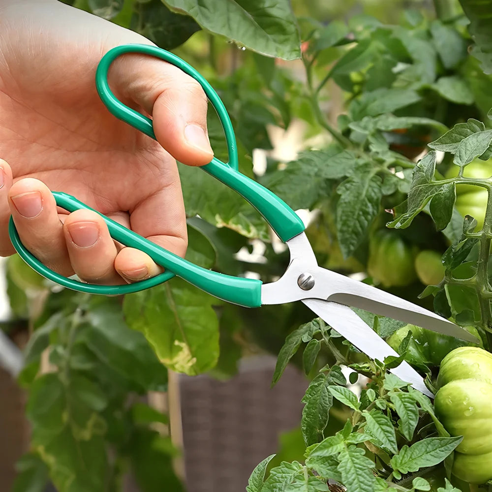 Flower Pruning Shears - Stainless Steel Garden Scissors for Plants, Flowers & Herbs