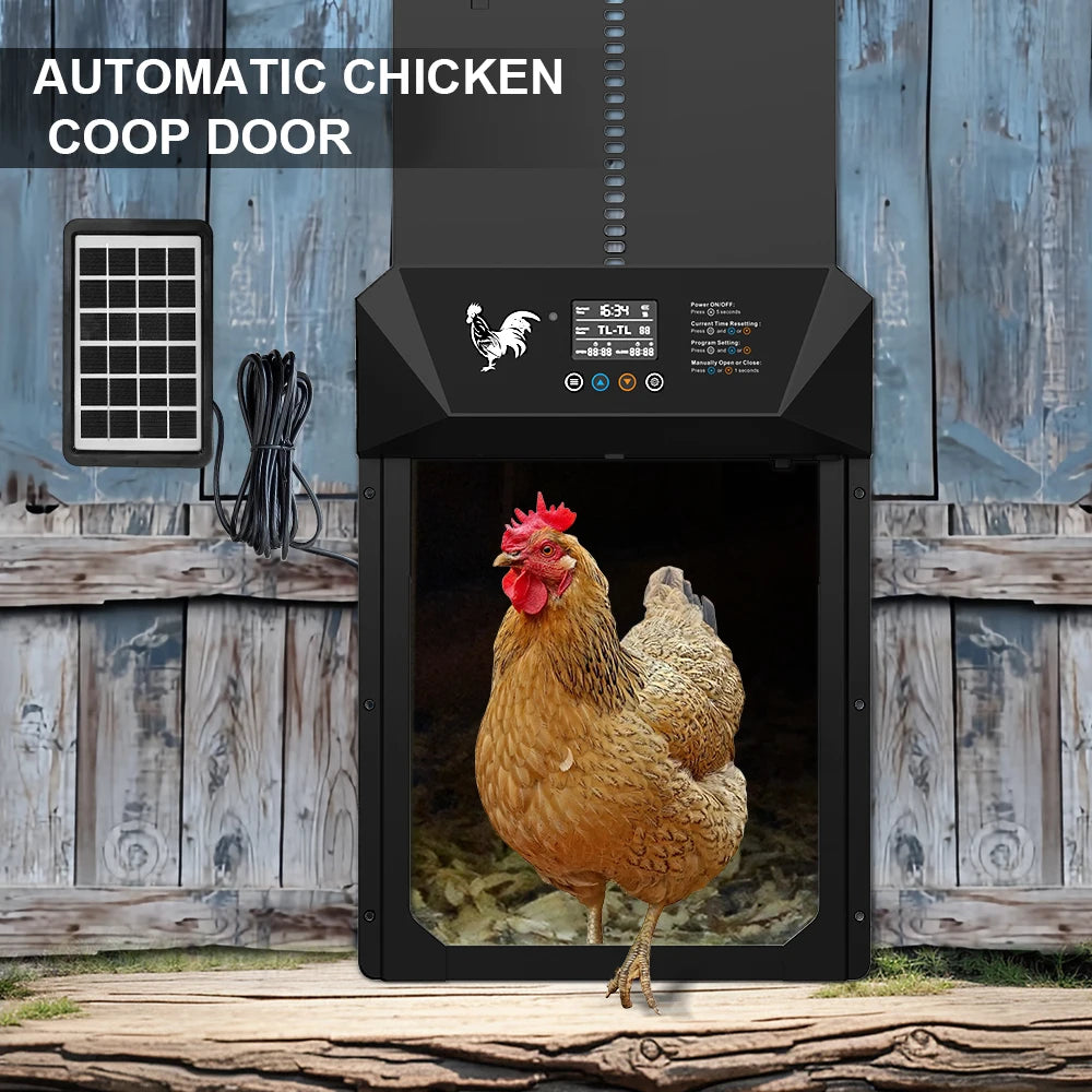 Extra Large Automatic Chicken Coop Door – Solar Powered with Remote Control