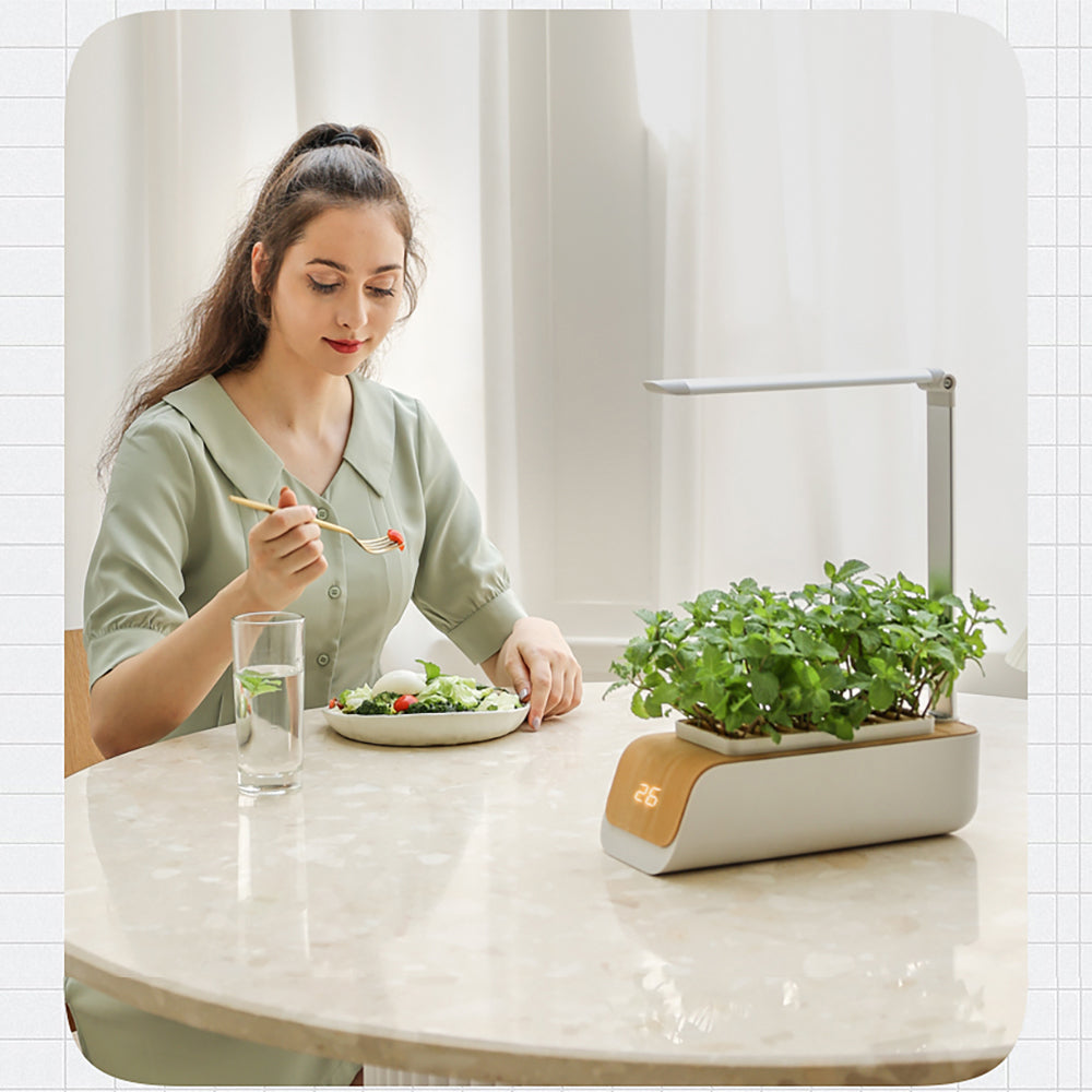 Hydroponic Grow Kit with LED Light - Indoor Self-Watering Planter for Herbs & Vegetables