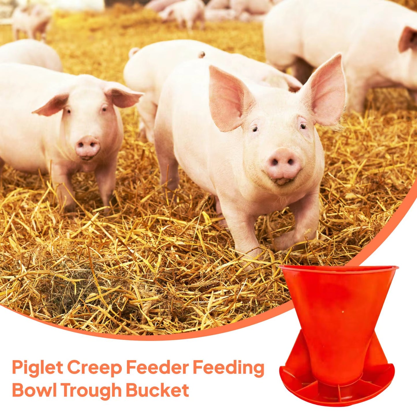 Wall Mounted Pig Feeder – Durable PP Piglet Feed Trough – Space-Saving Hog & Small Livestock Feeding Station