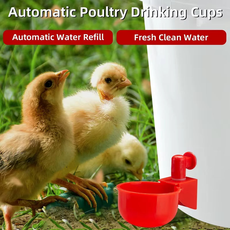Gravity-Fed Poultry Waterer for Chickens – Red, 2–6 Cup Pack
