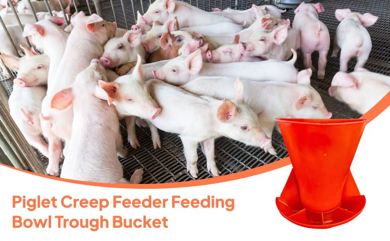 Wall Mounted Pig Feeder – Durable PP Piglet Feed Trough – Space-Saving Hog & Small Livestock Feeding Station