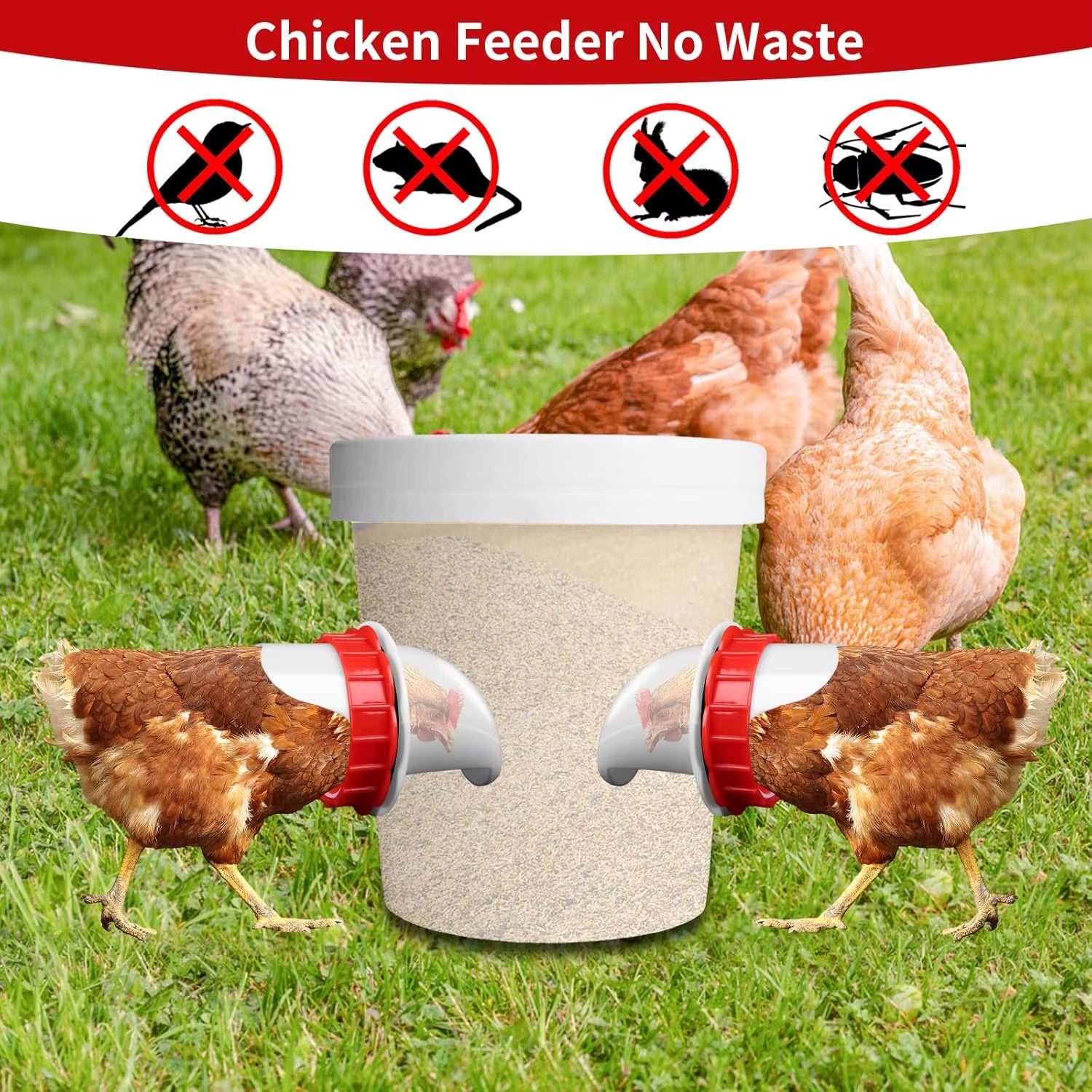 DIY No-Waste Chicken Feeder Port Kit – Gravity Bucket & Barrel Poultry Feeder Inserts – Weather & Rodent Resistant Feeding System