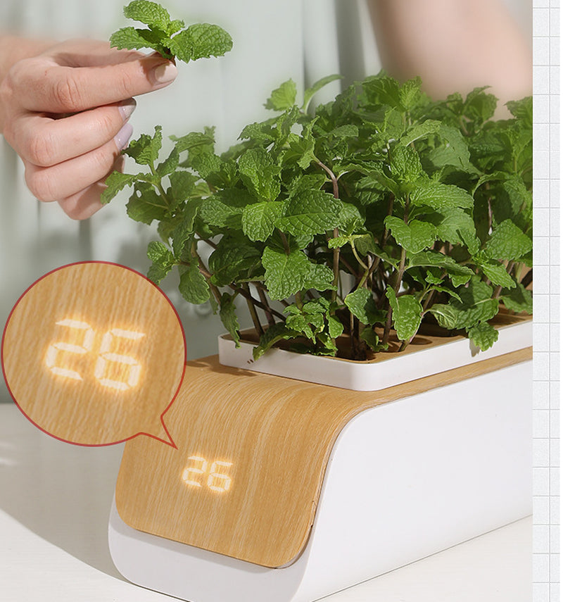 Hydroponic Grow Kit with LED Light - Indoor Self-Watering Planter for Herbs & Vegetables