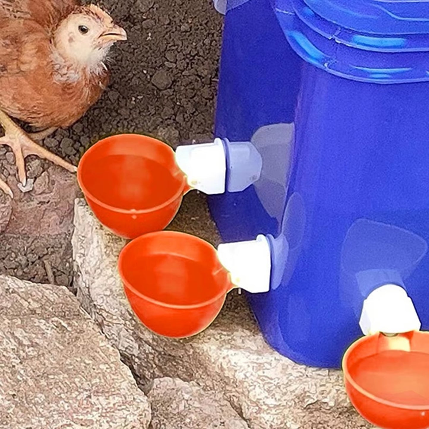 Automatic Chicken Waterer Bucket System – 10L Gravity Poultry Drinker with Cups or Nipple Waterers – No-Spill Coop Hydration Solution