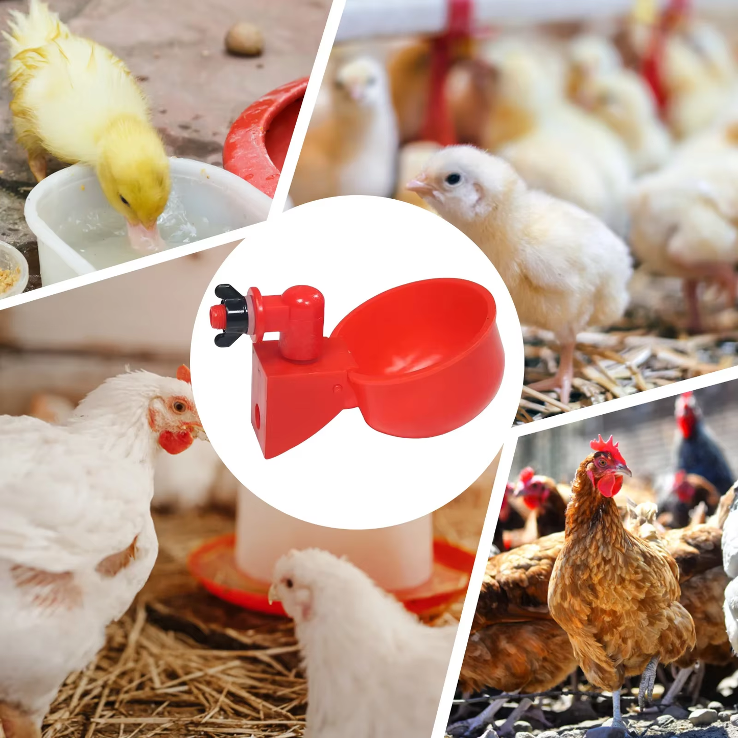 Bulk Gravity-Fed Poultry Waterer Cups – 6 to 36 Pack