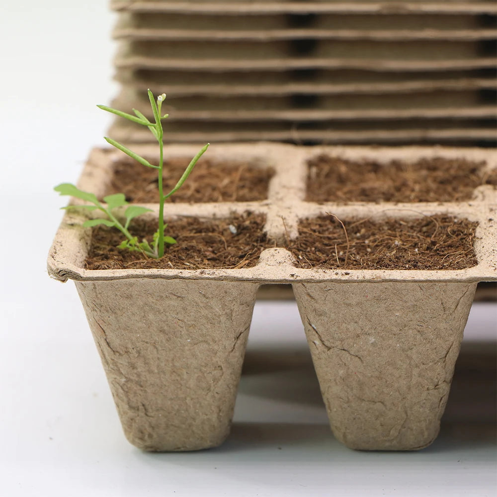 Biodegradable Seed Starter Trays - Eco-Friendly Paper Pots for Garden Seedlings