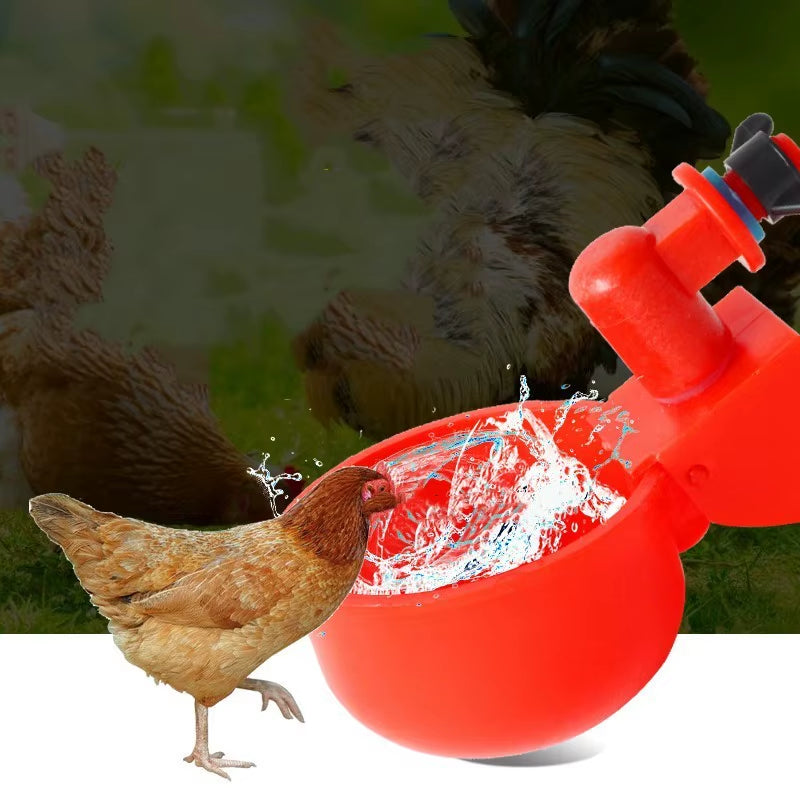 Gravity-Fed Poultry Waterer for Chickens – Red, 2–6 Cup Pack
