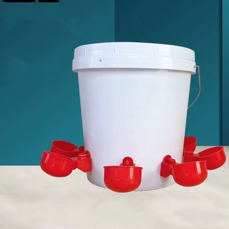 Gravity-Fed Poultry Waterer for Chickens – Red, 2–6 Cup Pack