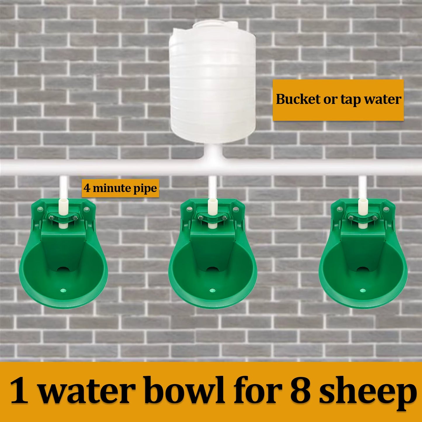 Automatic Sheep & Goat Water Bowl – Heavy Duty Touch Valve Livestock Drinker for Farm Dogs
