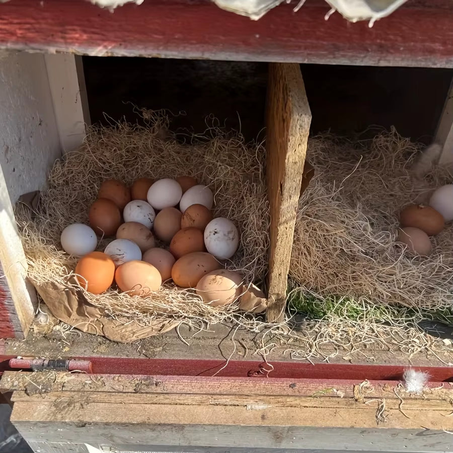 Chicken Nesting Box Liners – 25x25cm Reusable Coop Nest Mats (1 or 10 Pack)