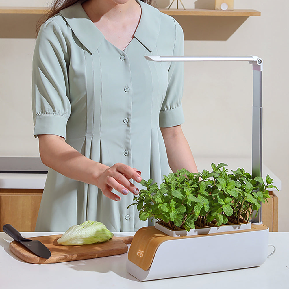 Hydroponic Grow Kit with LED Light - Indoor Self-Watering Planter for Herbs & Vegetables
