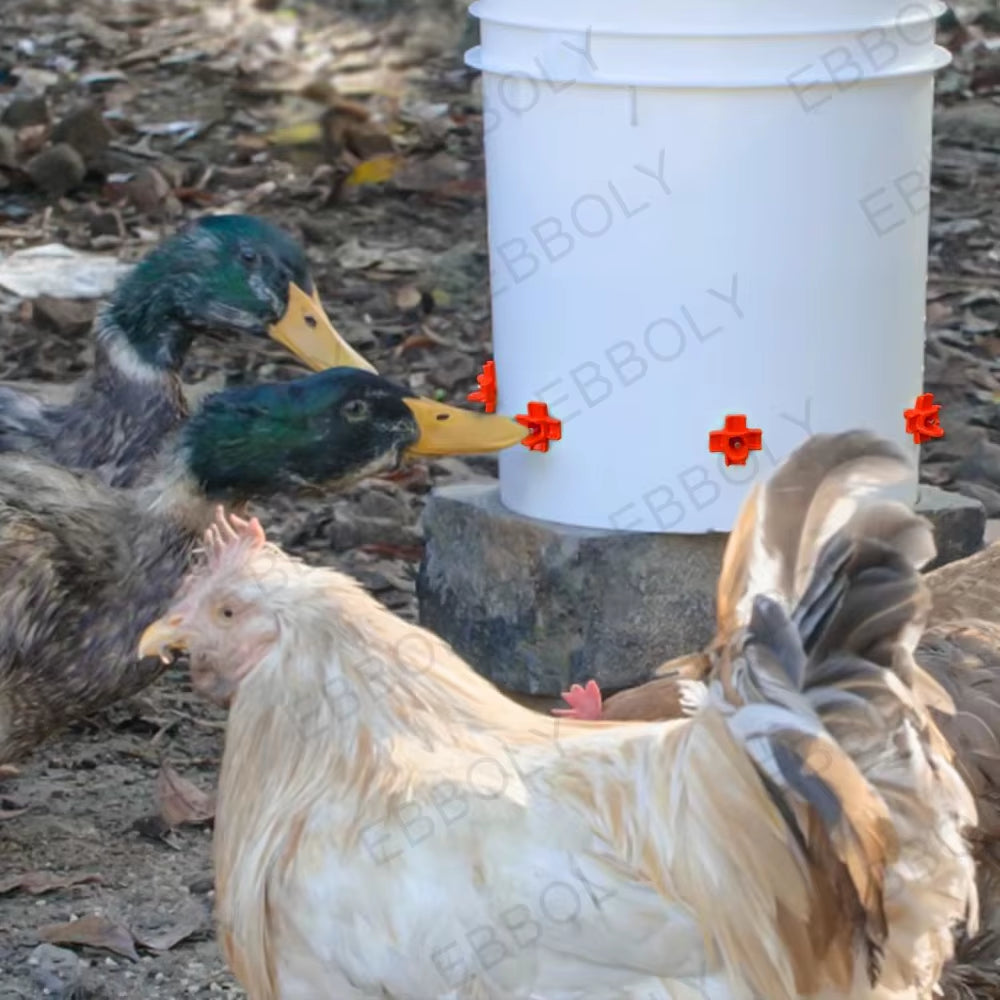 Horizontal Chicken Nipple Waterer – Automatic Side Mount Poultry Drinkers (15/20/30 Pack)
