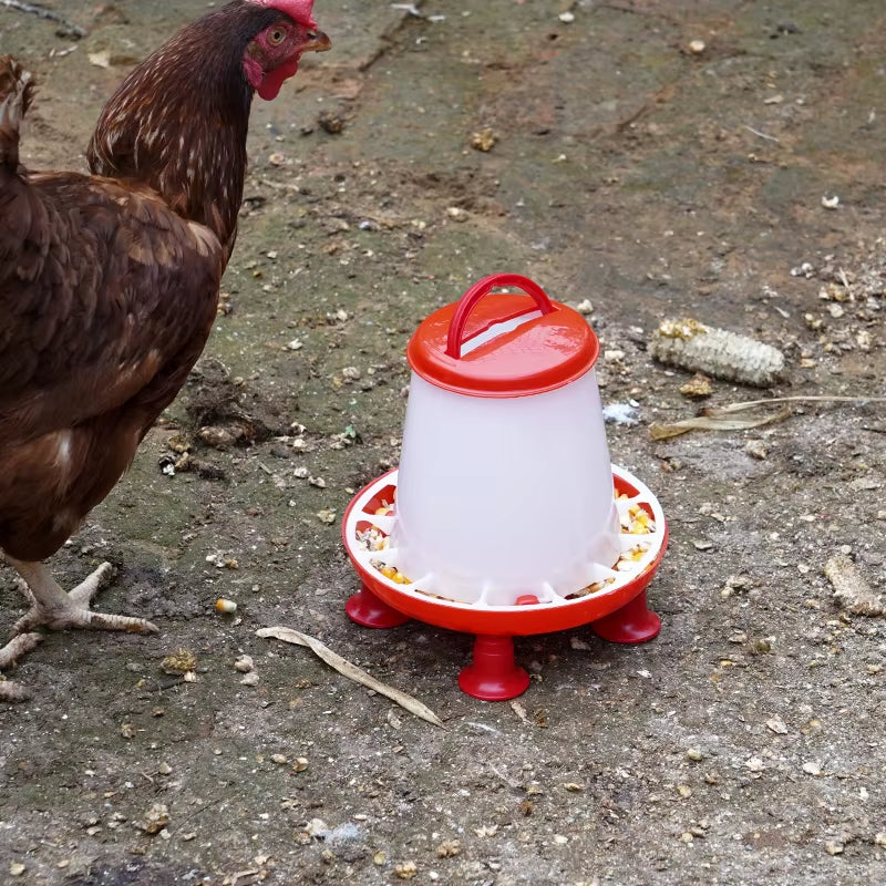 Standing Poultry Waterer & Feeder – 1.5kg / 3L Gravity-Fed Chick & Small Flock Drinker for Brooder Pens