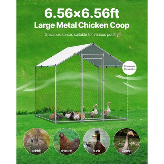 6.5ft x 6.5ft Covered Walk-In Chicken Run – Heavy Duty Galvanized Steel Predator-Proof Poultry Enclosure