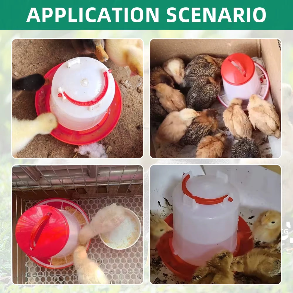 Basic Baby Chick Feeder & Waterer Combo – 1KG Feed + 1L Waterer for Starter Flocks & Brooder Pens