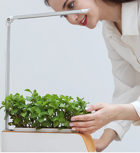 Hydroponic Grow Kit with LED Light - Indoor Self-Watering Planter for Herbs & Vegetables