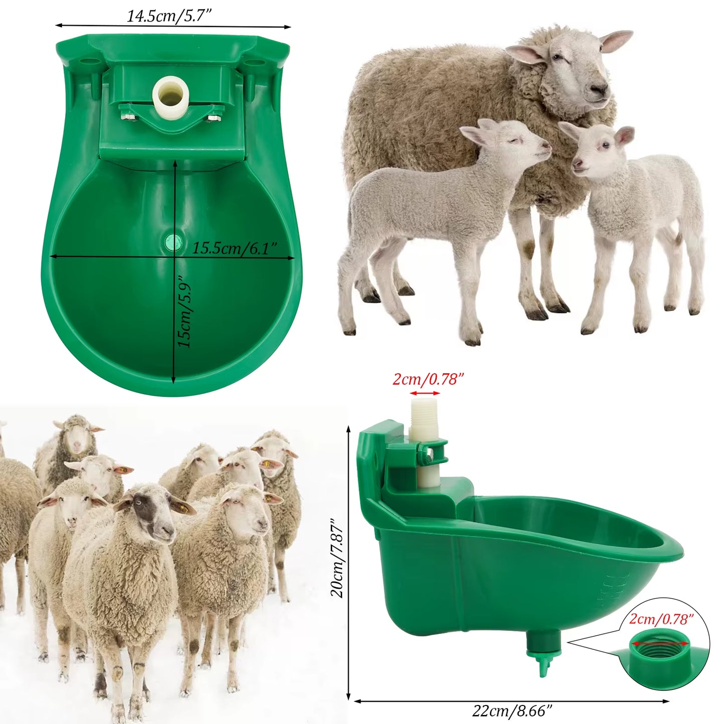 Automatic Sheep & Goat Water Bowl – Heavy Duty Touch Valve Livestock Drinker for Farm Dogs